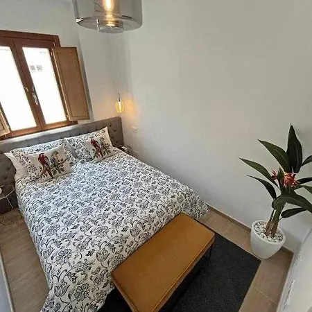 Xxiii Morales&arnal Estepona