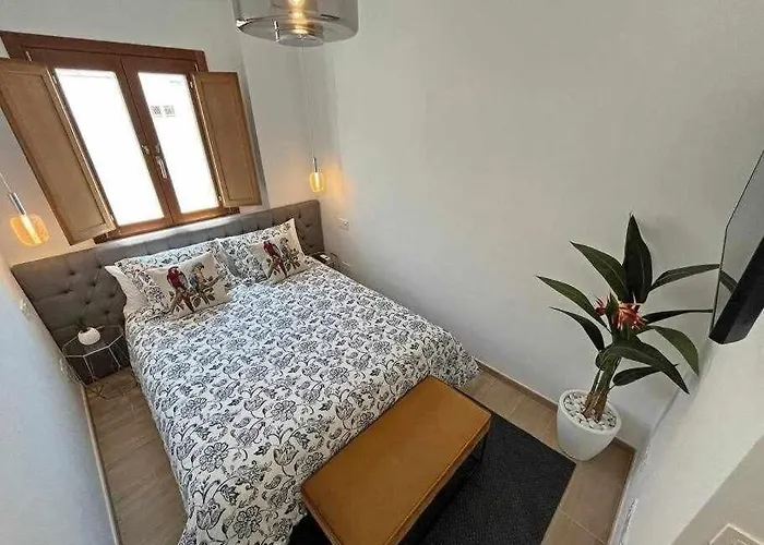 Xxiii Morales&arnal Estepona